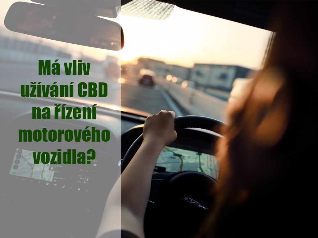 Má vliv užívání CBD na řízení motorového vozidla?