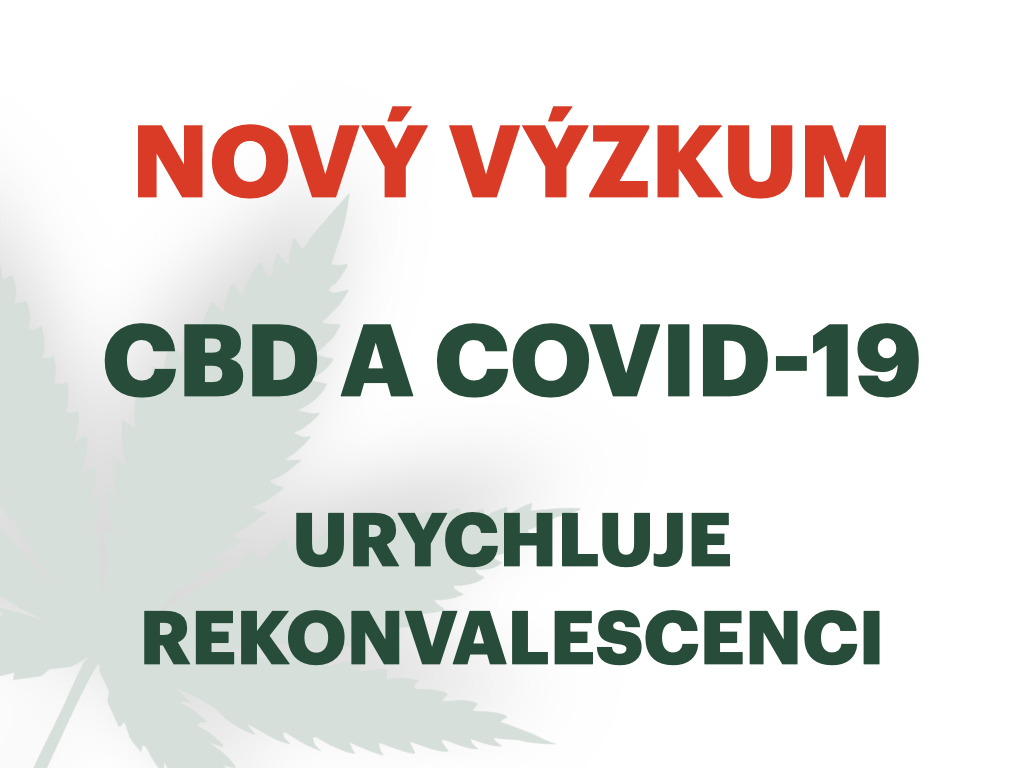 CBD URYCHLUJE REKONVALESCENCI