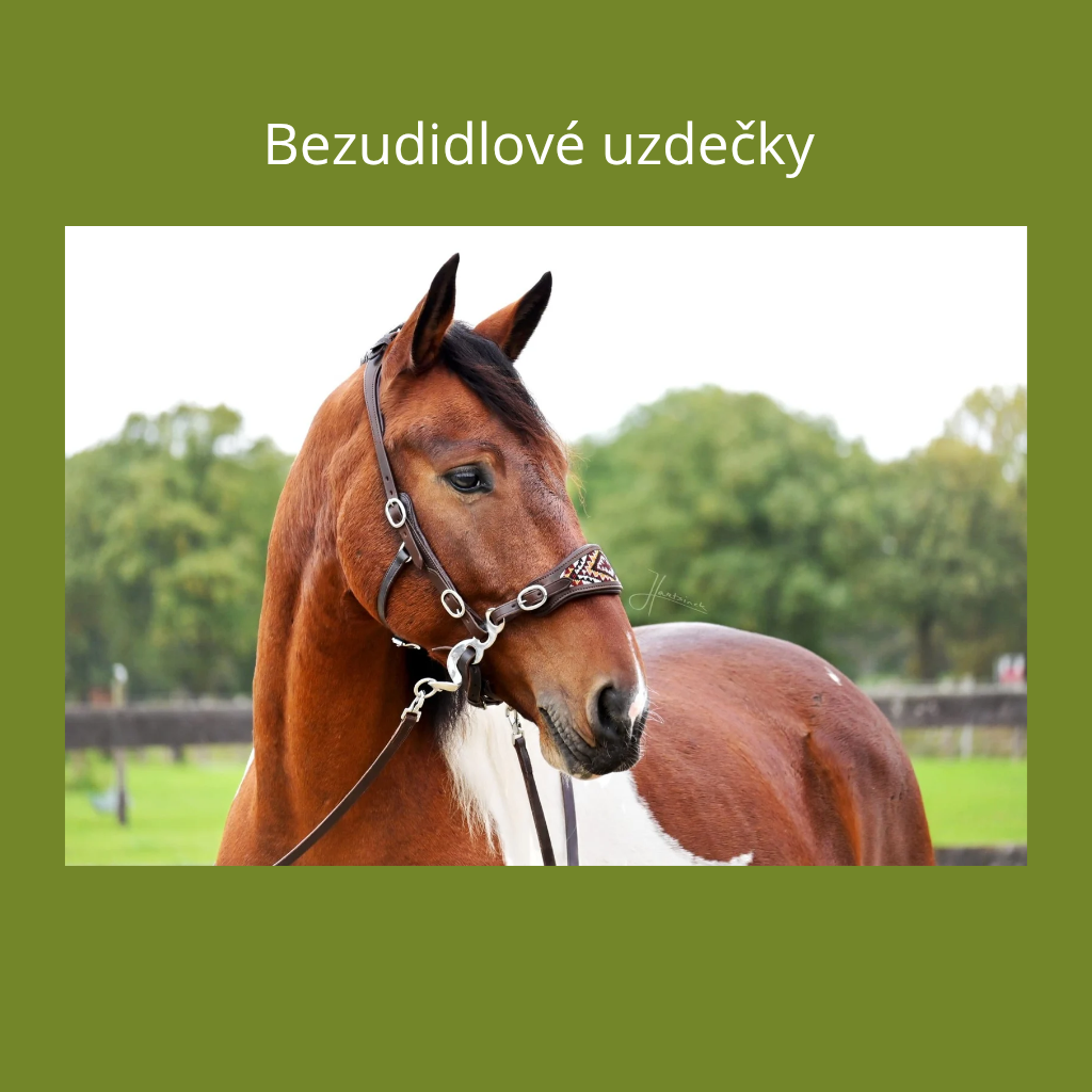 Bezudidlové uzdečky - kde a jak na koně působí?