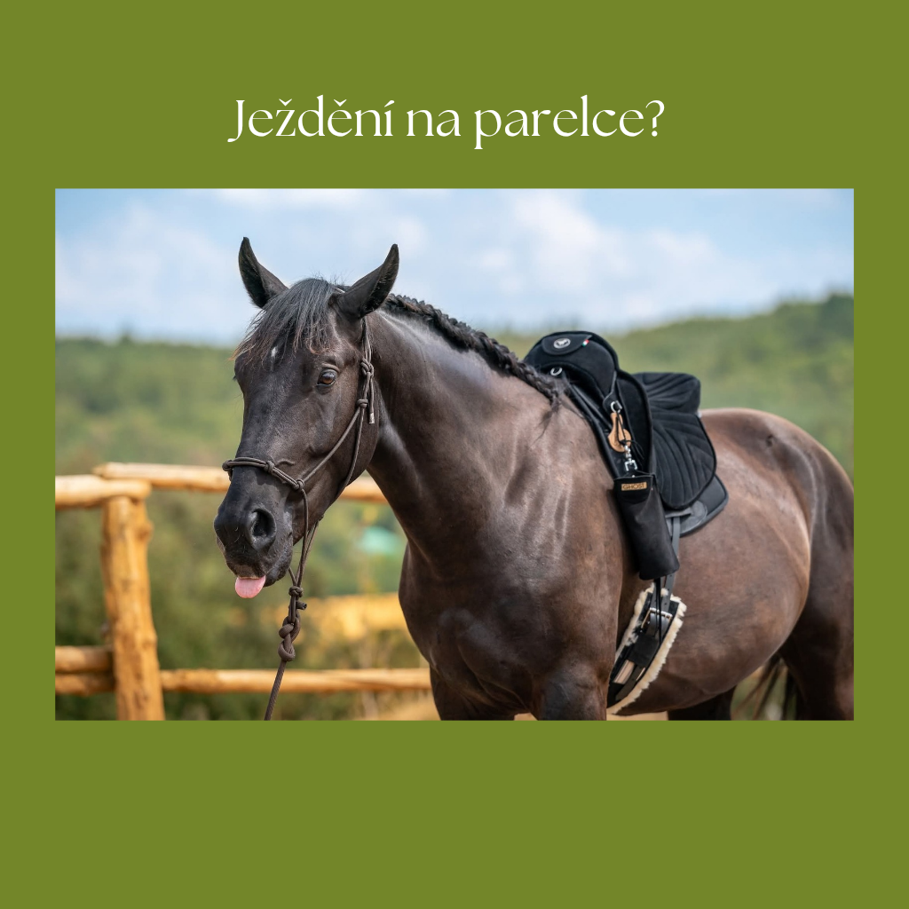 Proč nedoporučuji ježdění na parelce?