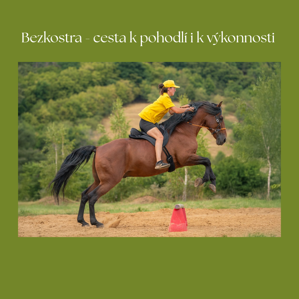 Bezkostra - cesta k pohodlí i k výkonnosti