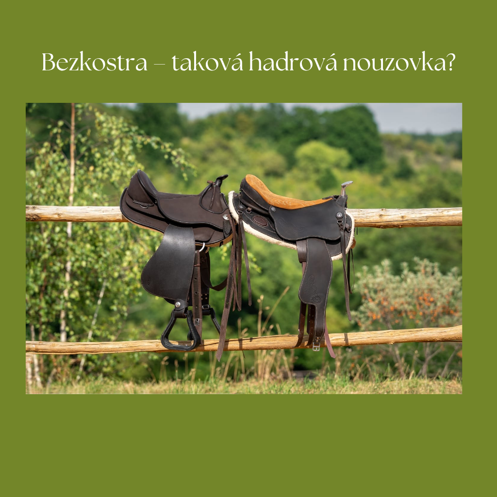 Bezkostrová sedla - taková hadrová nouzovka?