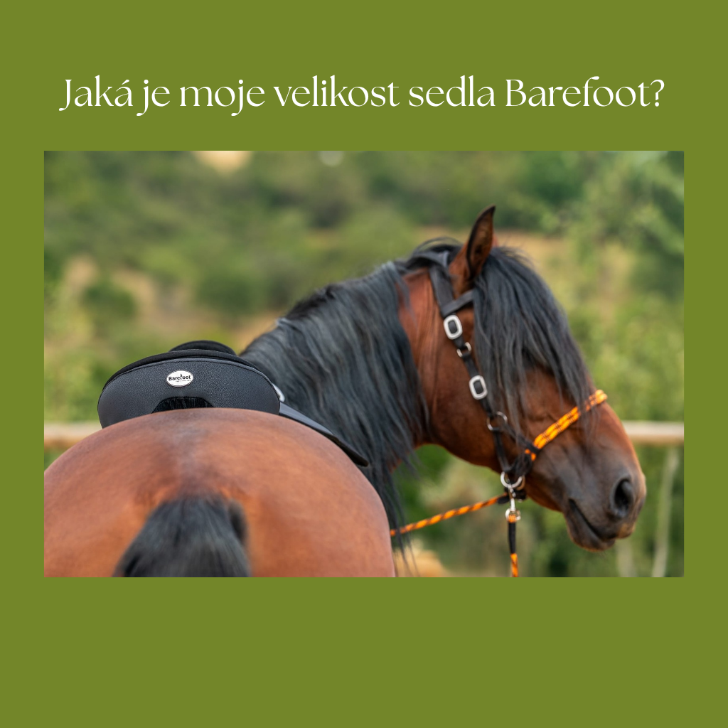 Jaká je moje velikost sedla Barefoot?
