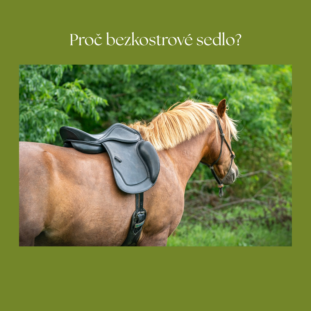 Proč bezkostrové sedlo?
