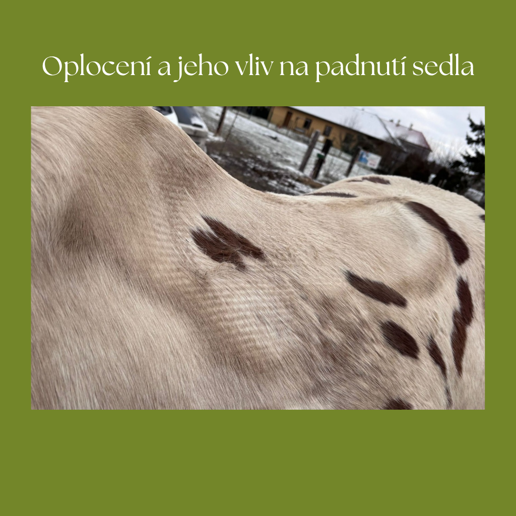 Opocení a jeho vliv na padnutí sedla