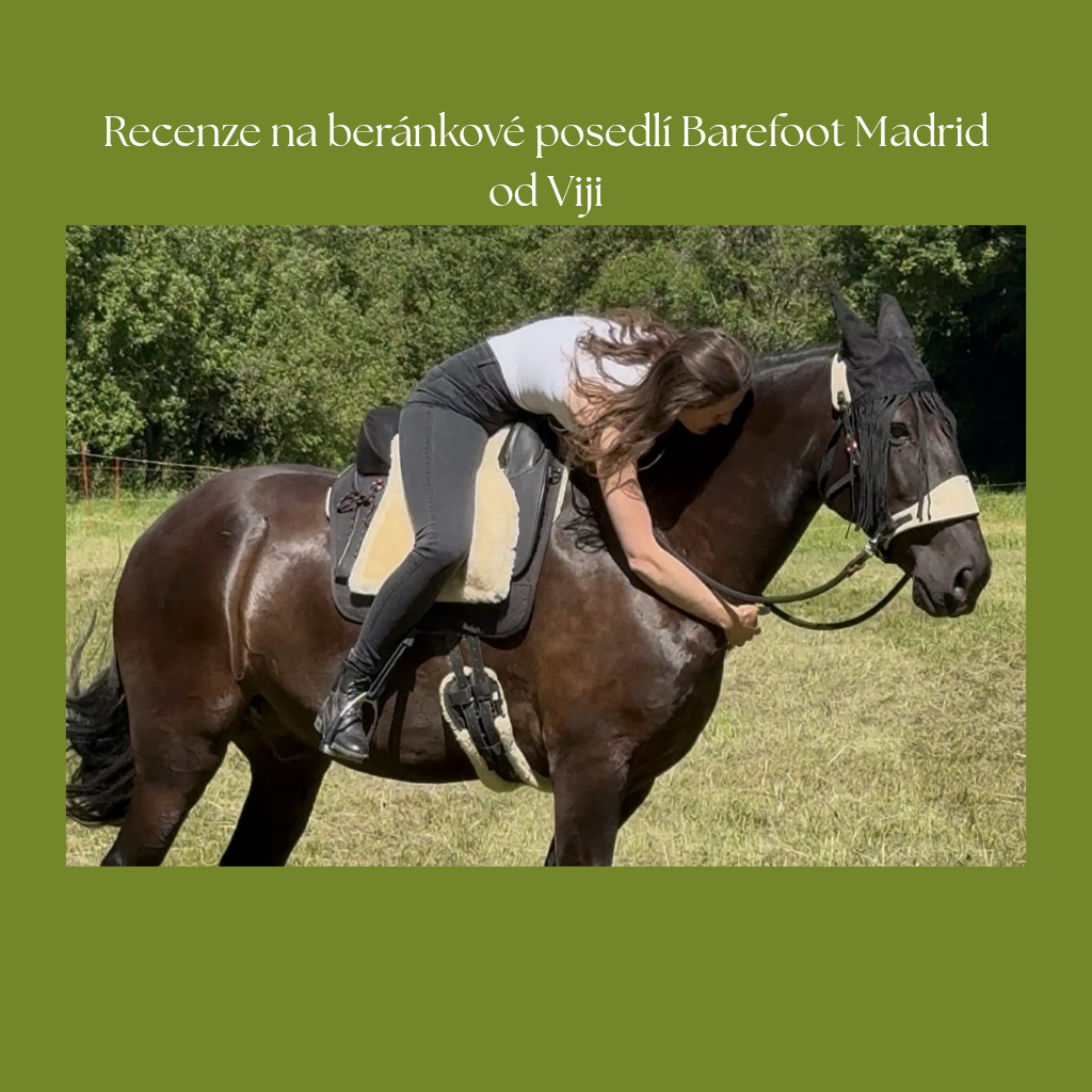 Recenze na beránkové posedlí Barefoot Madrid od Viji