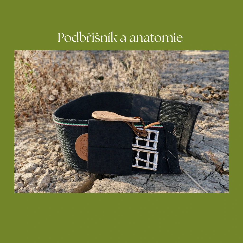 Podbřišník a anatomie koně: proč na jeho výběru záleží?