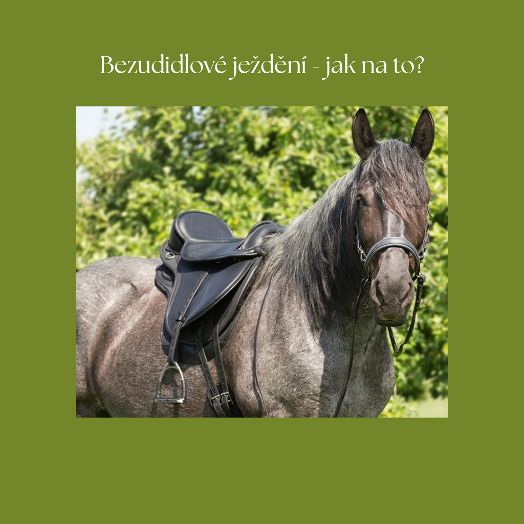 Bezudidlové ježdění - jak na to? část 1.