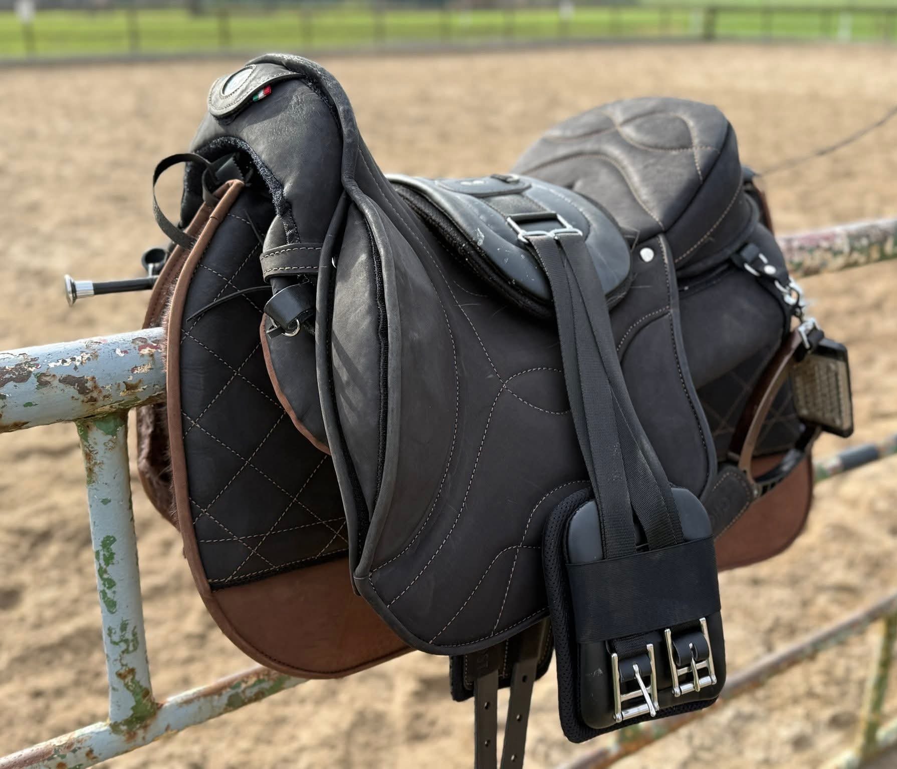 Podbřišník a anatomie koně: proč na jeho výběru záleží?