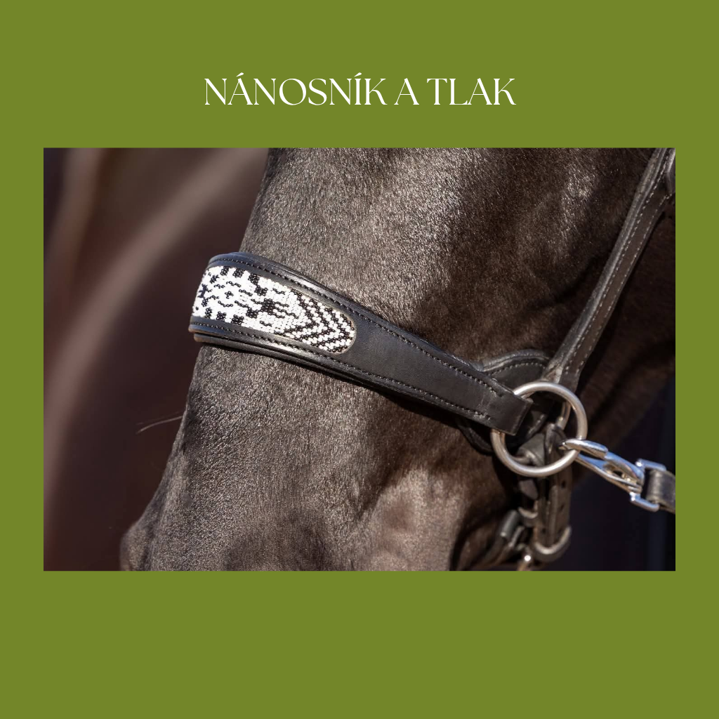 Nánosník a tlak - jak utažení ovlivňuje dýchání, nervový systém a výraz koně