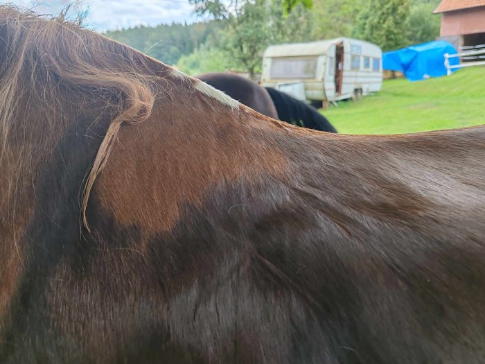 Opocení a jeho vliv na padnutí sedla