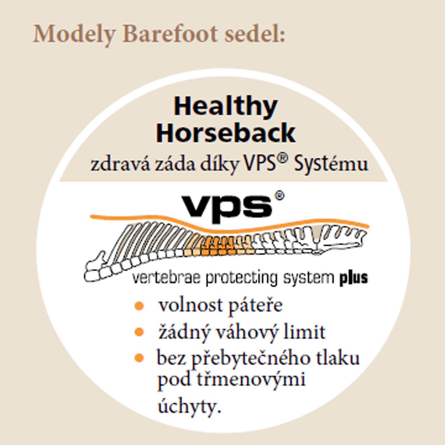 Co je VPS® ?