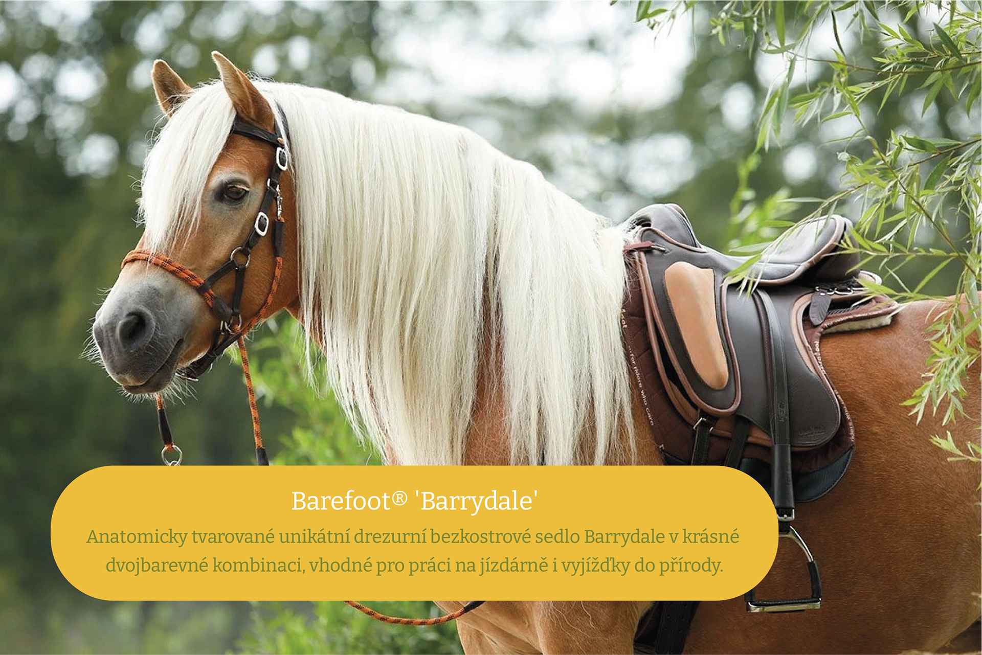 Barefoot® Barrydale