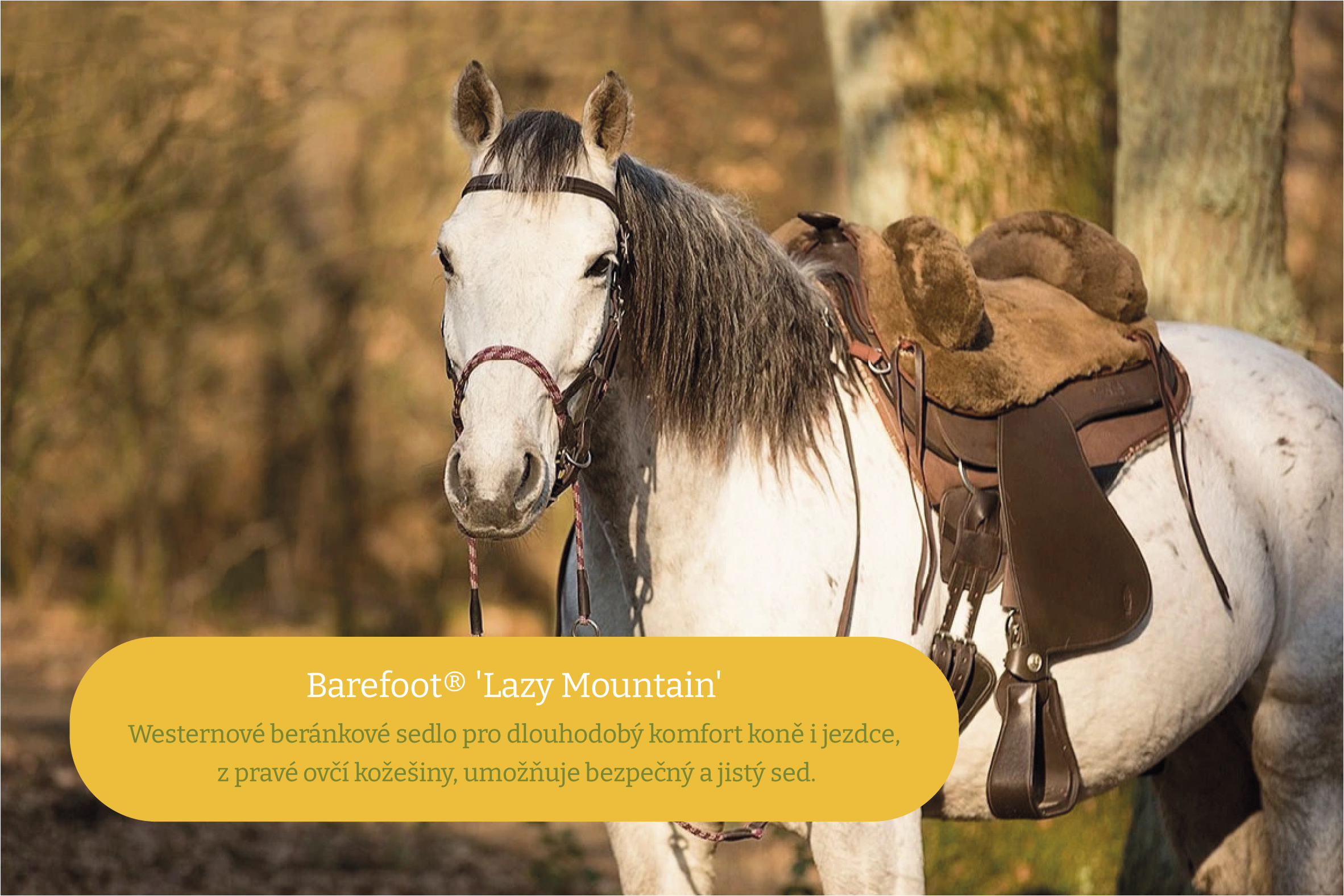 Barefoot® Lazy Mountain