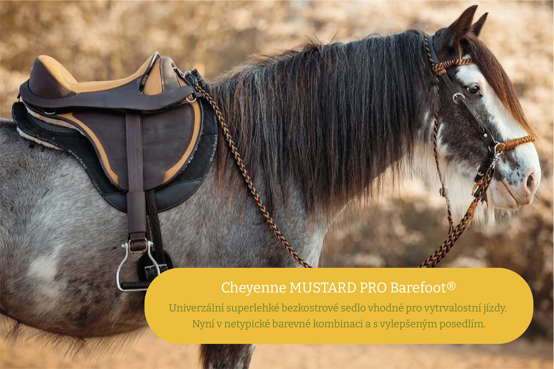Cheyenne MUSTARD PRO Barefoot®