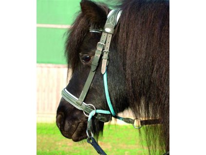 Uzdečka “Walnut“ Pony