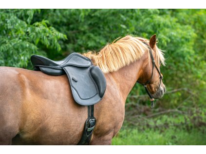 Drezurní bezkostrové sedlo Easytrek