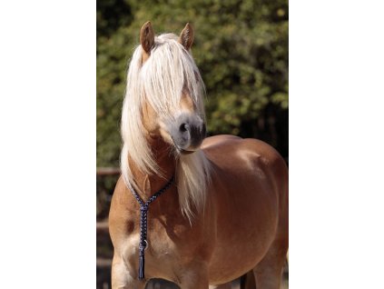 Nákrčník Amber Barefoot®