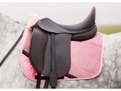 1.1902.1270 EDIX Zyba dressage saddle IMG 8938 1