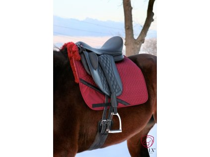 1.1920.12 EDIX Yasir saddle DR 2