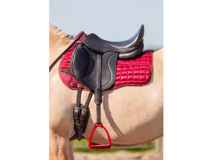 1.2091.12 EDIX Emir flexible GP saddle IMG 6509