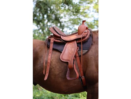 1.0169.21 EDIX Django 122289486688332