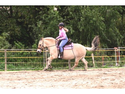 1.0159.21 EDIX Oakley 205 n