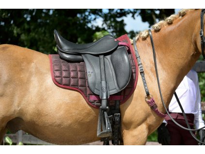 1.1900.12 EDIX Tudor saddle child DSC 0194