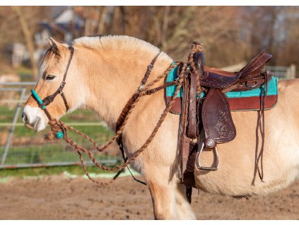 4.1012.42 EDIX Breastcollar Roper IMG 9952