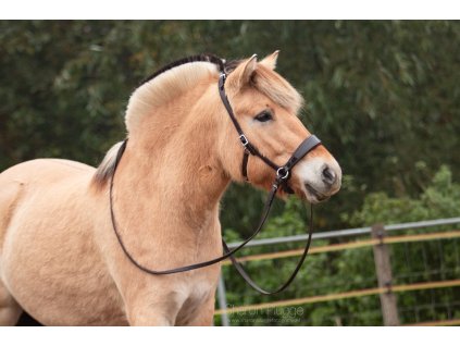 EDIX ED2 Nyra sidepull bridle brown cob sized English suspension reins 1