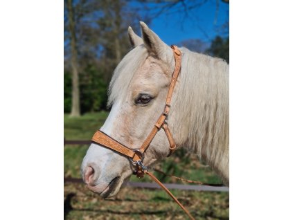 277457272 508255957513054 6096074295456545340 n