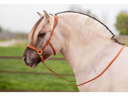 8.9020.21 EDIX bridle ED2 Rose collection brass IMG 20250418