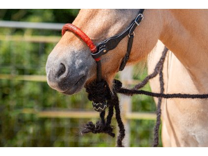 8.9500.21 EDIX bridle ED3 Rose IMG 3130