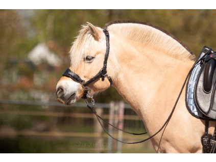 8.8502.04 EDIX bridle Hack Q Jazz IMG 9771