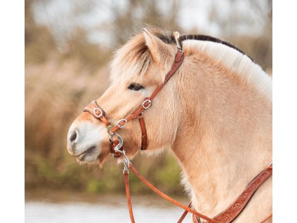 EDIX ED4 Hackamore uzdečka - kolekce Rose