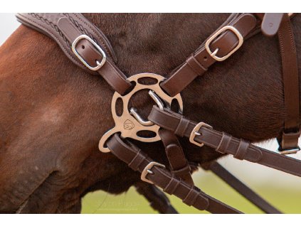8.8555.82 EDIX Halo Pro hackamore IMG 6239 Edit