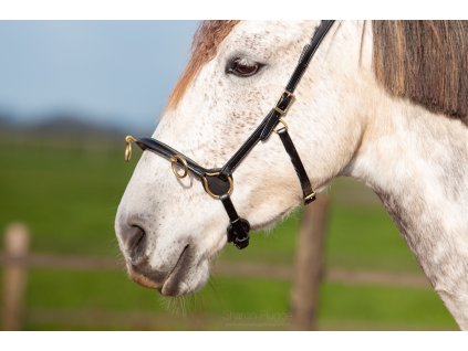 8.9500.1470 EDIX ED5 Cavesson IMG 20241114 WA0034