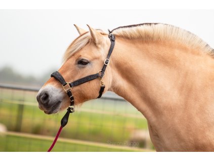 Afbeelding van WhatsApp op 2024 09 10 om 17.09.49 08d8105a