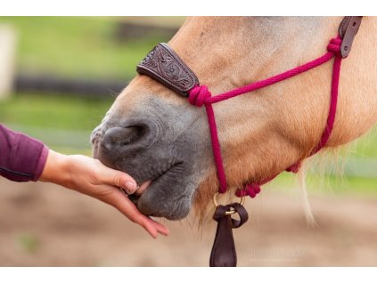 Afbeelding van WhatsApp op 2024 09 10 om 18.34.50 8b2d77dd