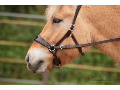 EDIX ED2 Nyra sidepull bridle brown cob sized English suspension reins