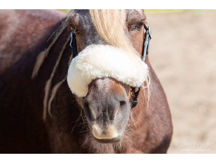 7.0955.40 EDIX Merino nosebandcover IMG 4132