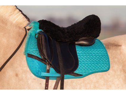 WhatsApp Image 2025 01 21 at 12.37.44