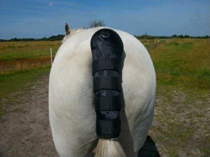 d869c5a8 274b 4a78 b280 8f72b781406e