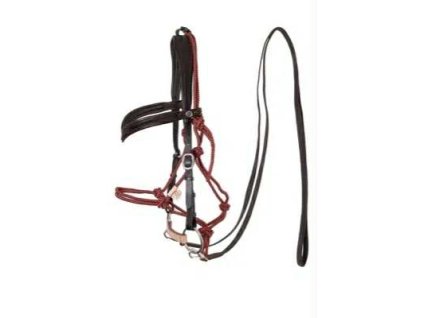 44abfc7e b981 44a3 a53c a773ffa7ea89