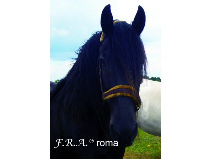 6 574 e6c86c7e598eb7a8a9d1a8f3eed88cc8