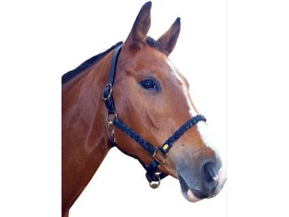 b5237f61 3823 4564 9c83 be6c6428cbca