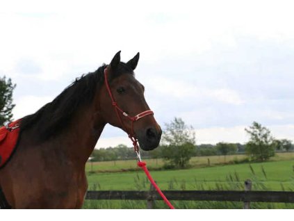 774bbd53 82b0 436e 8e3c 05eaa3fceeb2