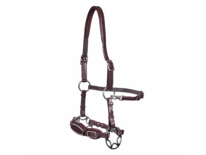 f09b89f9 b34d 4eb6 bffd 707854c2aa81