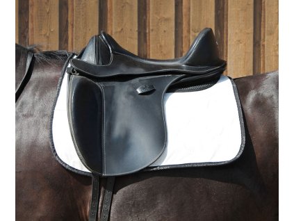 pf well eingeritten 36 1080x