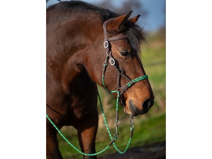 image VT BRID SYR 1 02 GR 1